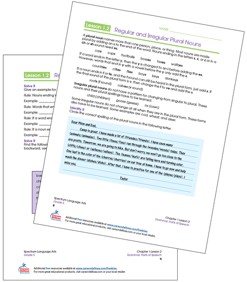 Regular and Irregular Plural Nouns Grade 5 Free Printable Sample Image