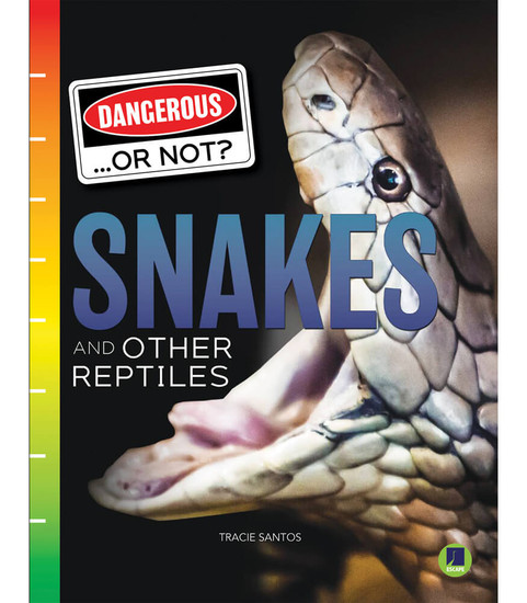 Rourke Educational Media Snakes and Other Reptiles Teacher
