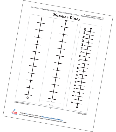 Number Lines Math Graphic Organizers Grades 3-4 Free Printable
