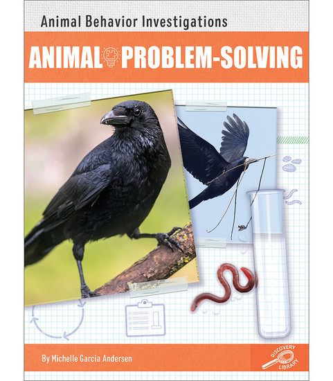 Animal Problem Solving image