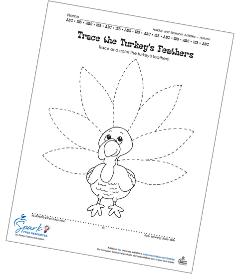 Turkey Feathers Printable