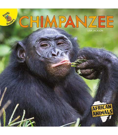 Rourke Educational Media Chimpanzee Teacher
