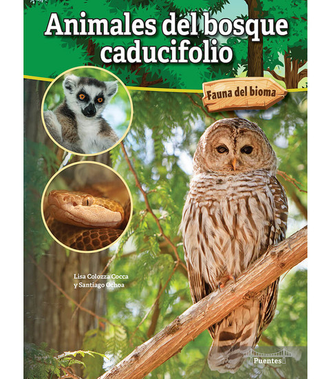 Animales del bosque caducifolio image