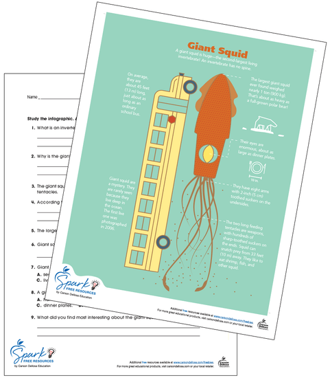 Giant Squid Infographic Free Printable