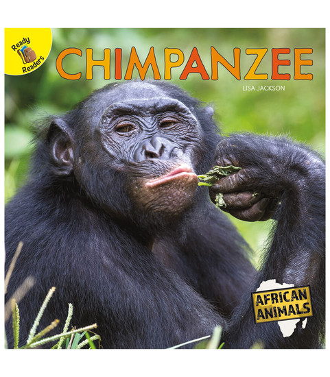 African Animals Chimpanzee Reader image