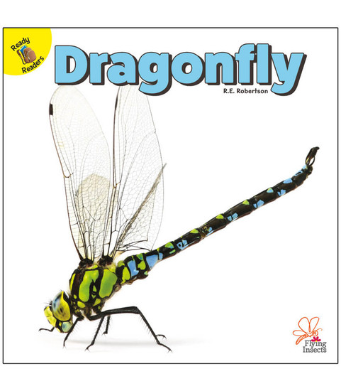 Flying Insects Dragonfly Reader image