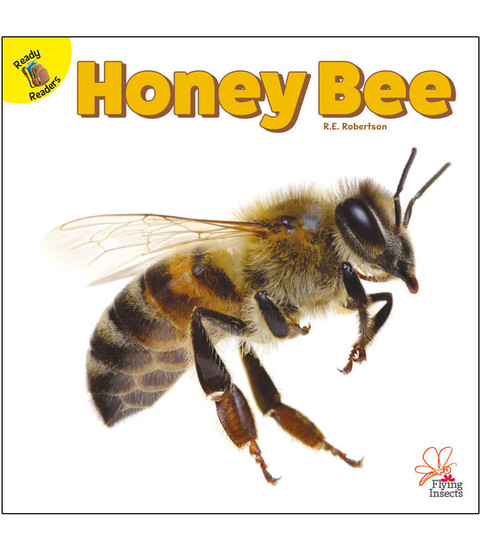 Flying Insects Honey Bee Reader image