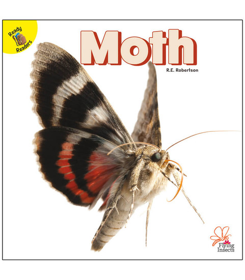 Flying Insects Moth Reader image
