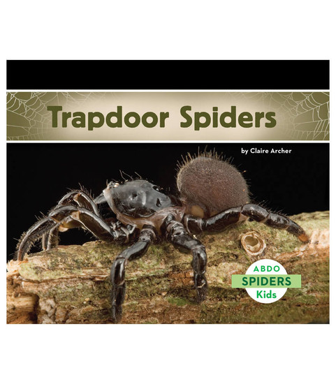 Trapdoor Spiders image