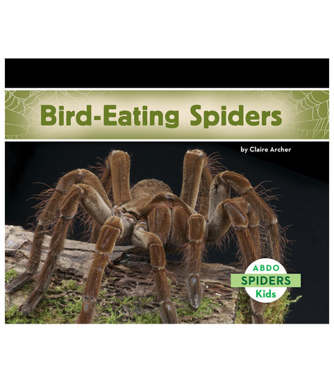 Bird-Eating Spiders image