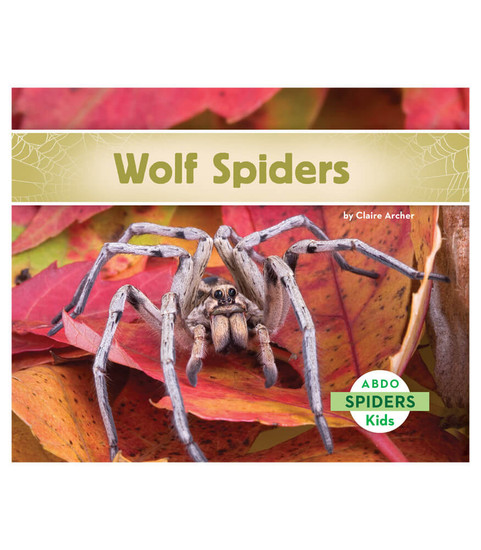 Wolf Spiders image