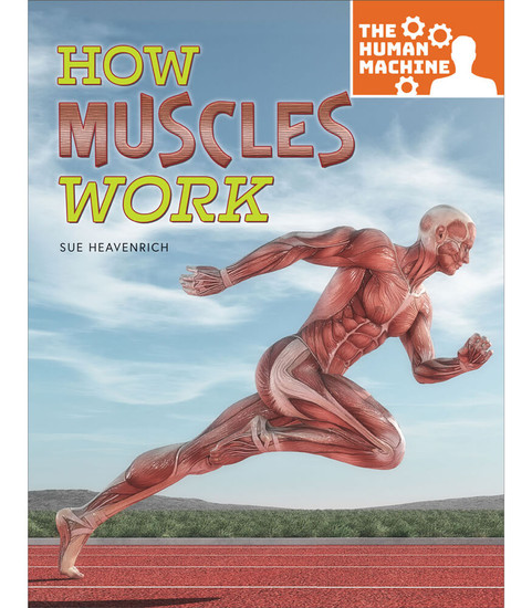 The Human Machine How Muscles Work Reader image