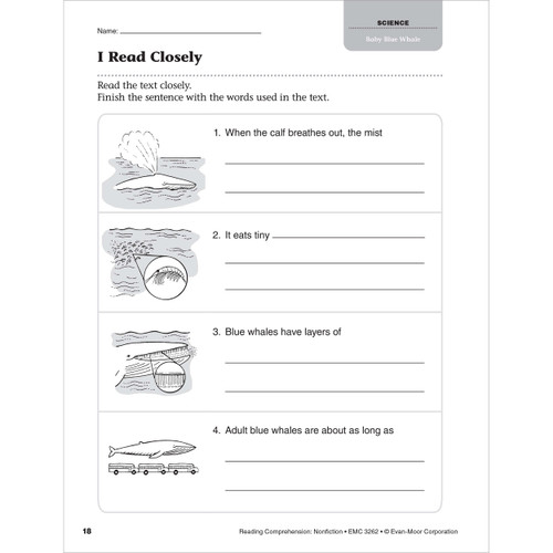 Grade 2 Reading Comprehension: Nonfiction, Teacher Resource Book eBook