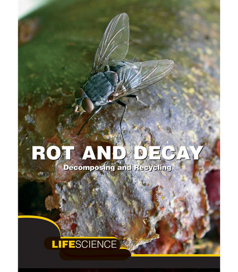 Let's Explore Science Rot and Decay Reader image