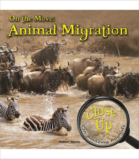 Close-Up on Amazing Animals On the Move: Animal Migration Reader image
