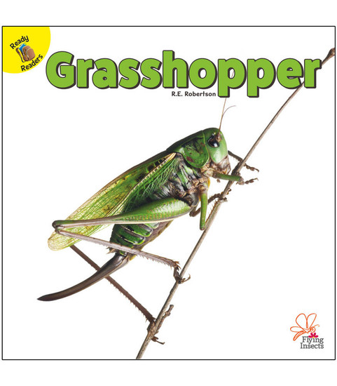 Flying Insects Grasshopper Reader image