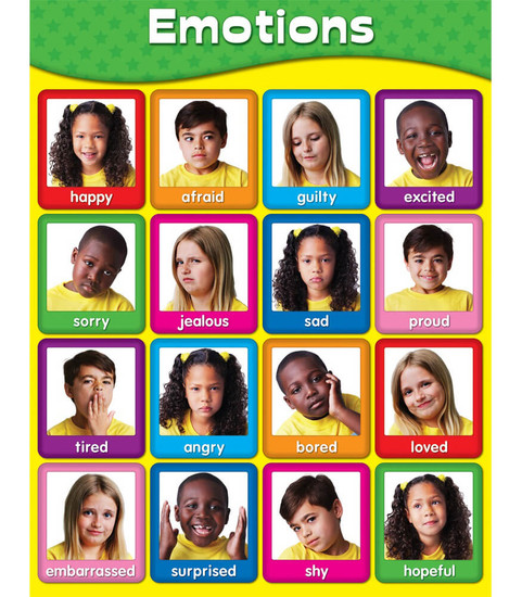 Emotions Chart image