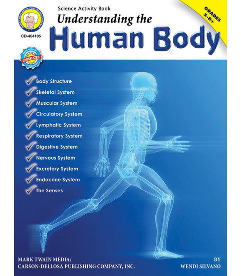 Understanding the Human Body image