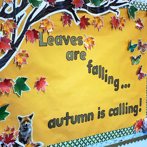 Carson Dellosa Education Teaching Supplies For Classroom and Home