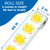 65' Sunshine Rolled alternate image 1 image