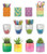 Planters & Cups image