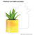 Planters & Cups alternate image 3 image