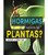 ¿Las hormigas son como las plantas? image