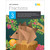 IXL Topic-Specific Workbooks IXL Fractions Workbook image image