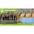 ¿Qué nacerá? alternate image 3 image