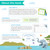 The IXL Ultimate Summer alternate image 3 image