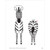 Listen and Learn: Animals alternate image 4 image
