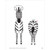 Listen and Learn: Animals alternate image 4 image