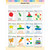 Learning Line: Colors and Shapes alternate image 2 image