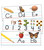 Traditional Manuscript Alphabet with Photographs Bulletin Board Set image image