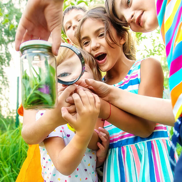 Group of young children huddled together using a magnifying glass to examine grass, flowers, and insects in a jar in summer.