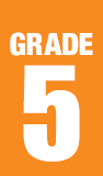 Grade 5