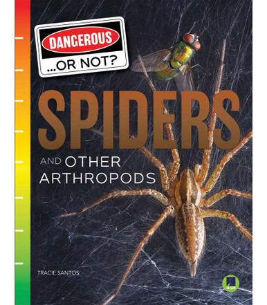 arthropods are a type of spider