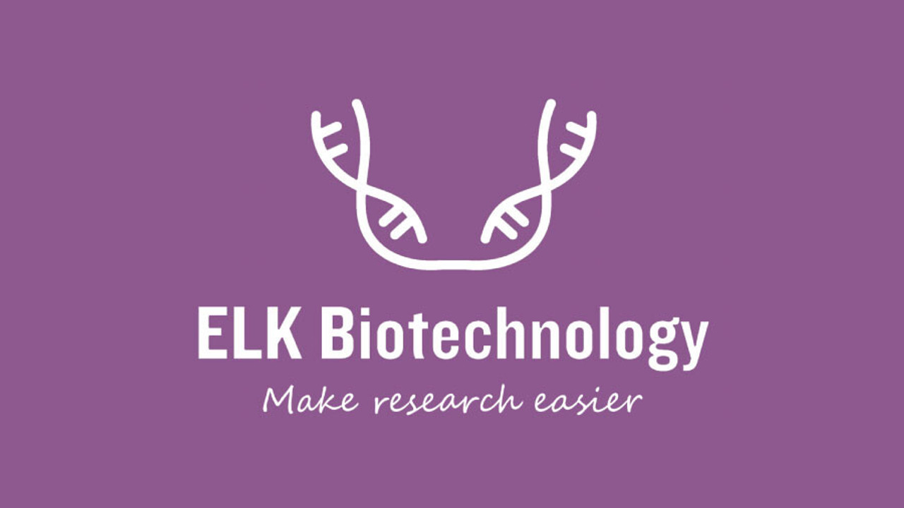 Human IL8(Interleukin 8) ELISA Kit