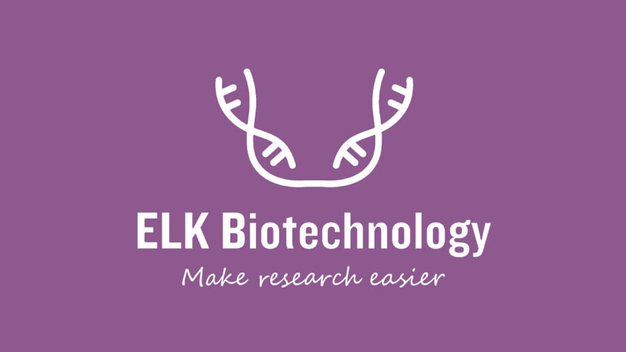 Human FSH(Follicle Stimulating Hormone) ELISA Kit