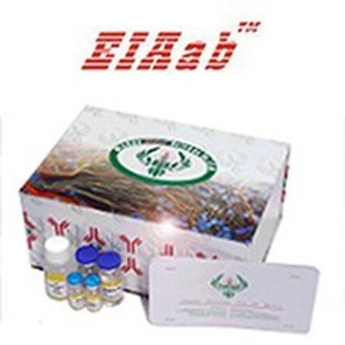 Mouse SIRT1/NAD-dependent deacetylase sirtuin-1 ELISA Kit