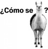Como Se Llama T-Shirt: Close Up