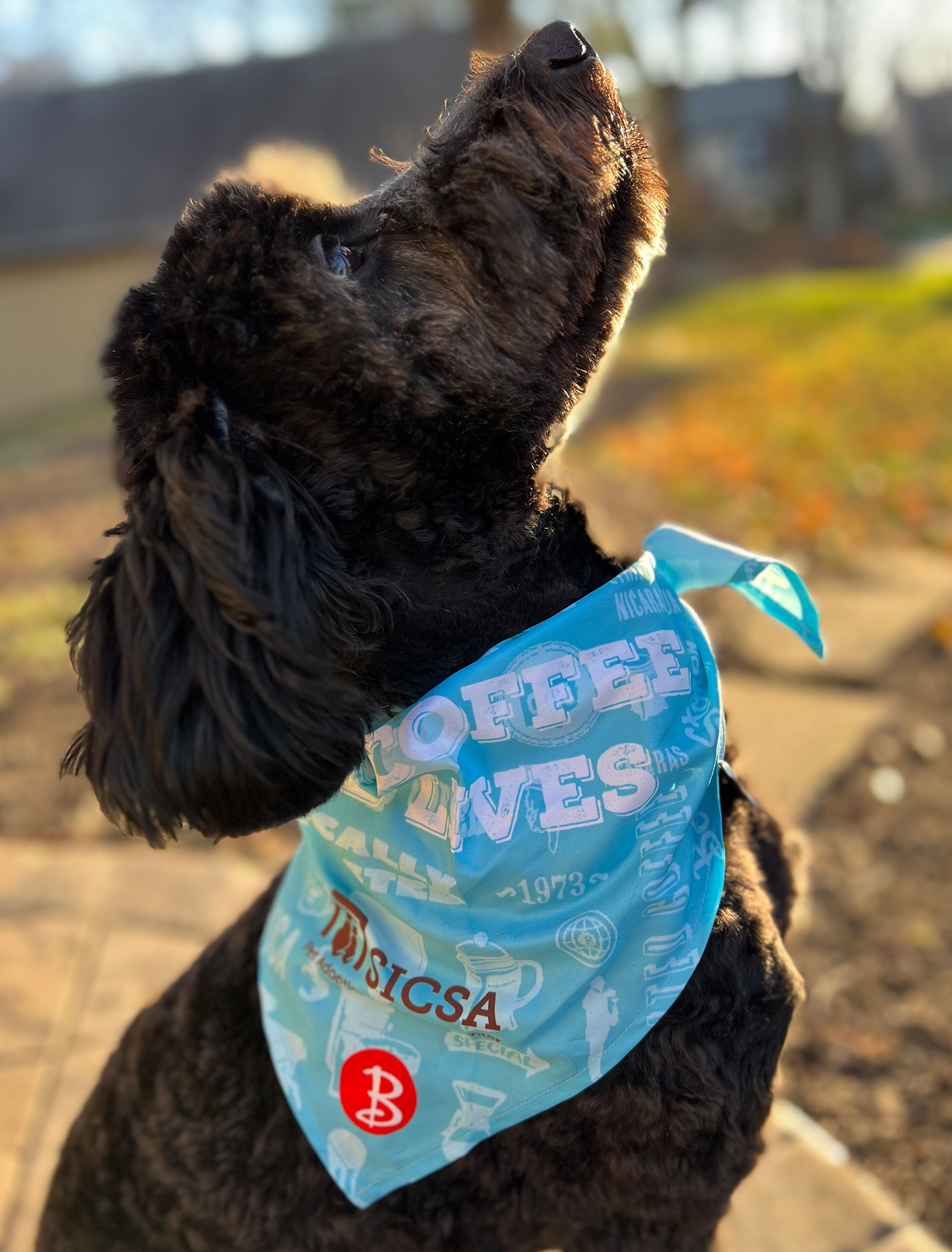 Merch - Boston Stoker Coffee Co.