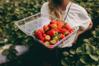 Juicy Strawberry