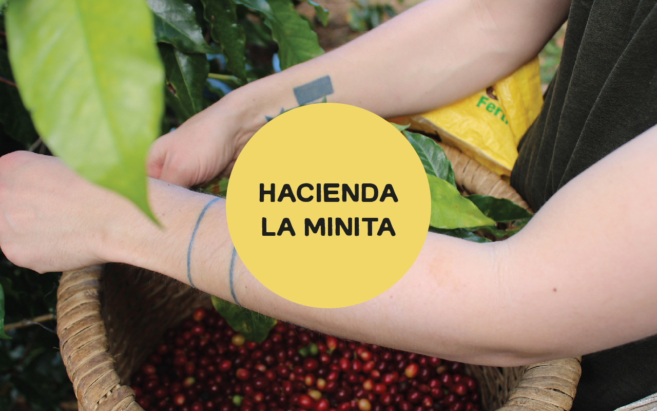 1-flavor-notes-hacienda-la-minita.jpg