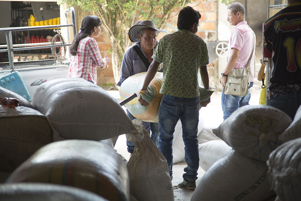 jaguar-bags-of-green-coffee.jpg