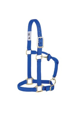 Original Adjustable Chin and Throat Snap Halter, 1", Large Horse