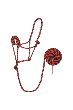 Braided Rope Halter with 10' Lead
