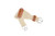 27 Strand Smart Cinch® with Roll Snug Cinch Buckle