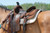Contoured Steam Pressed Merino Wool Felt Saddle Pad