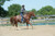 Working Tack Roper Rein